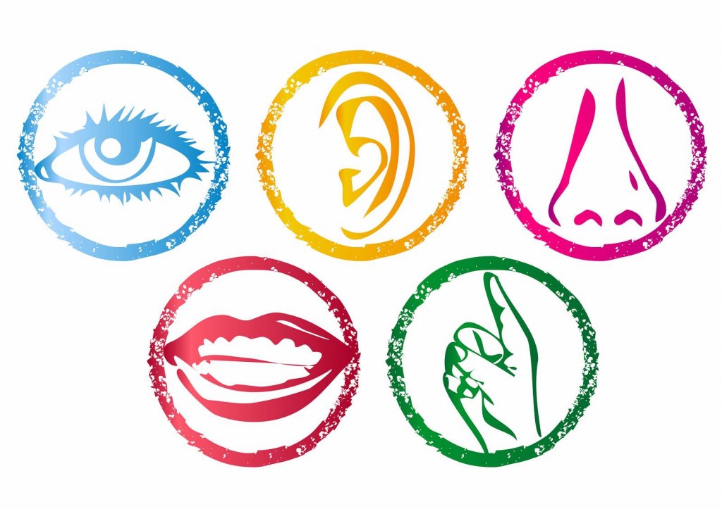 Sensory-Diagram