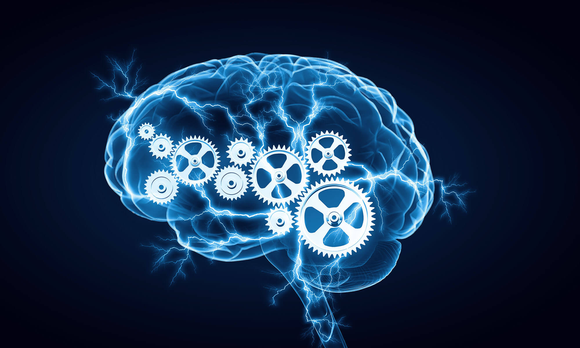 Left Brain Right Brain Test. 100% Reliable Psychology-Based