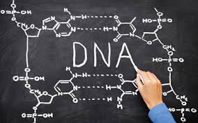 genetics-and-education